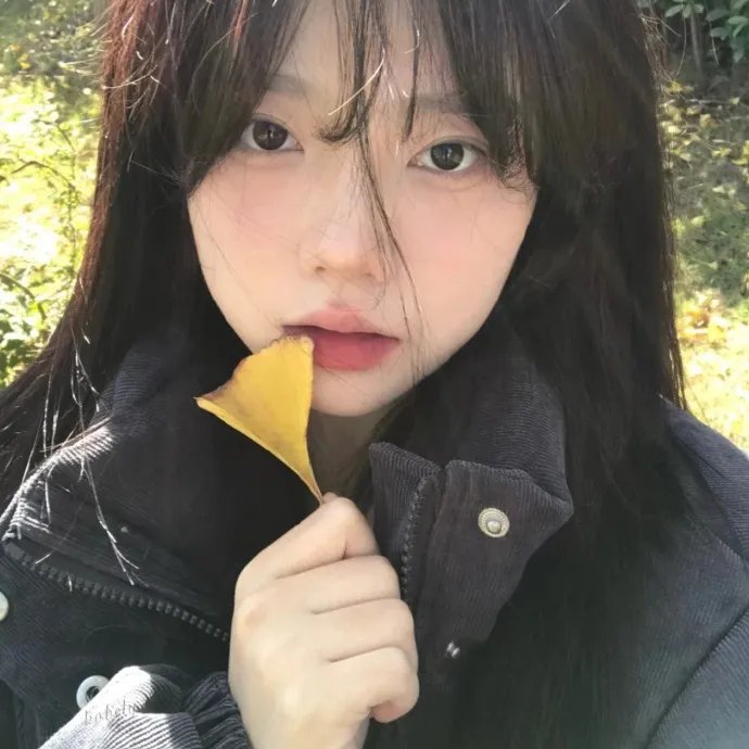 雁雁